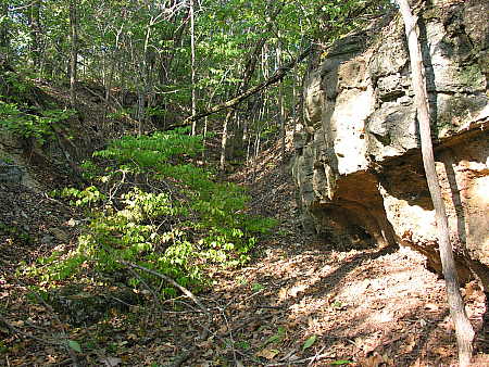 Looking up the ravine